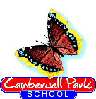 Camberwell Park Specialist Support School